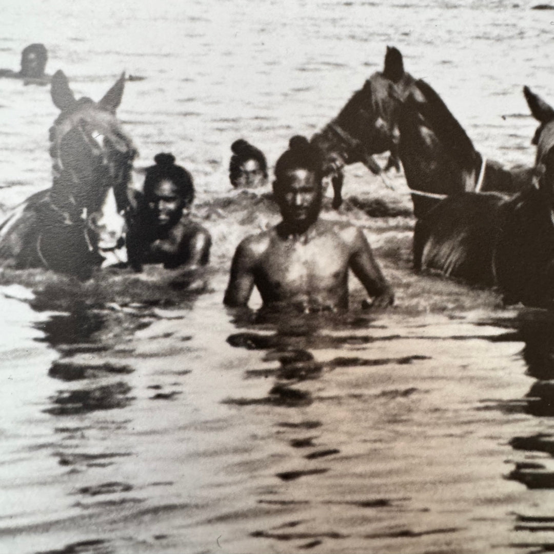 Warrior Saints: Three Centuries of the Sikh Military Tradition by Amandeep Singh Madra & Parmjit Singh (1999)