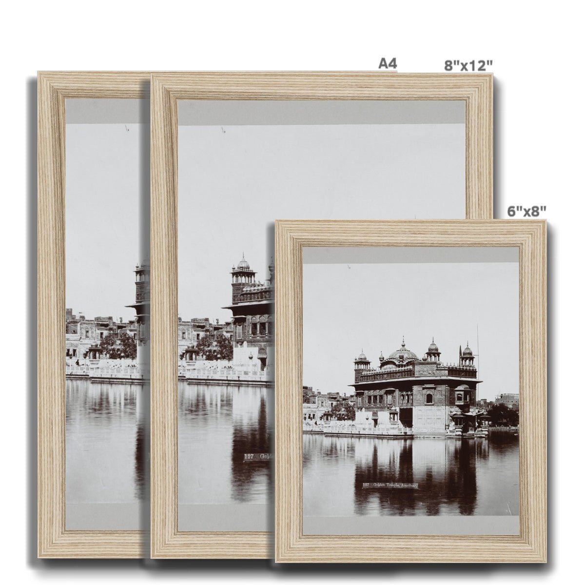 Sri Harmandir Sahib Framed Print - ramblingsofasikh