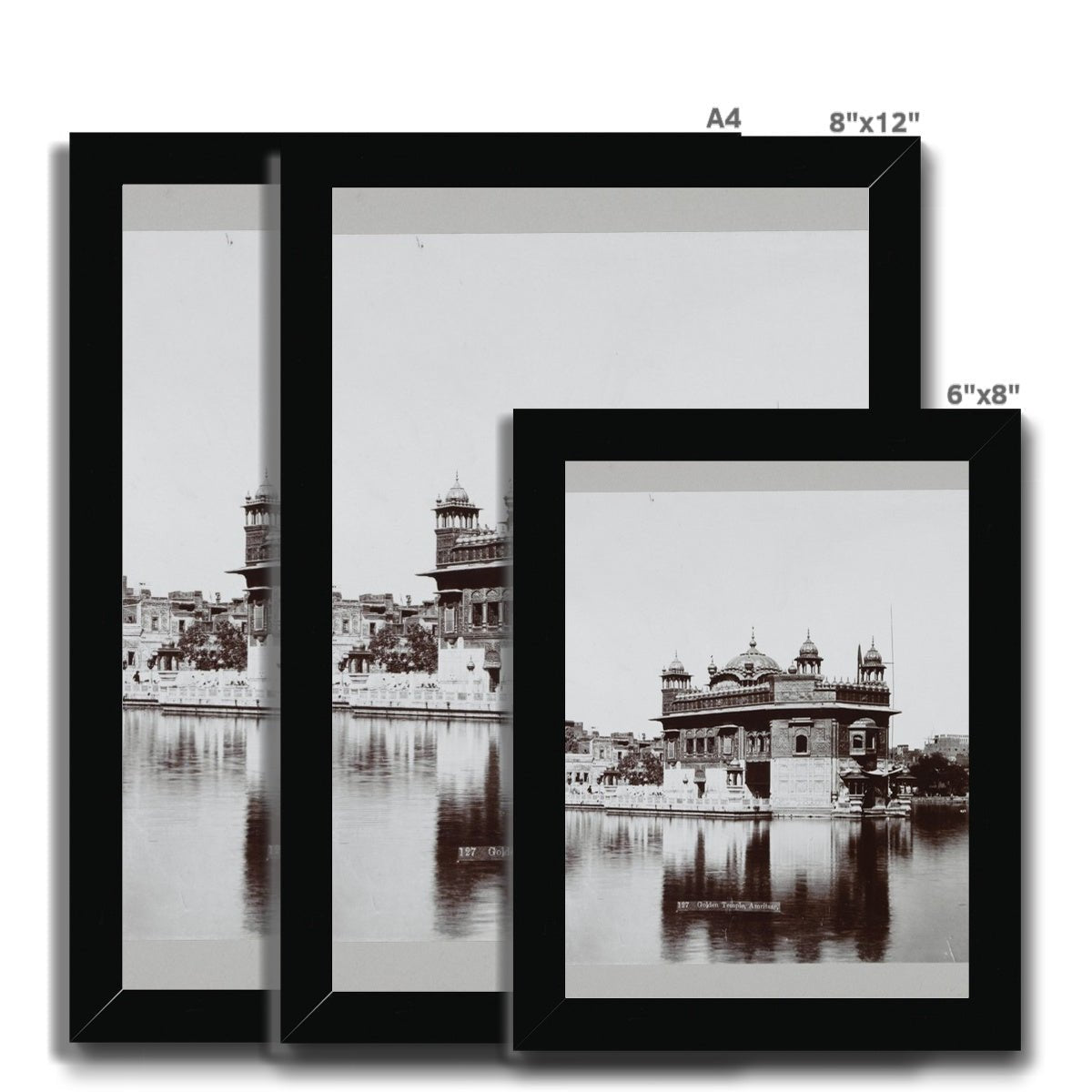 Sri Harmandir Sahib Framed Print - ramblingsofasikh
