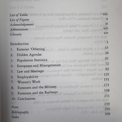 Race and Power in British India: Anglo-Indians, Class & Identity in the Nineteenth Century by Valerie Anderson