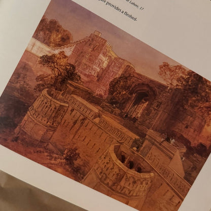 Lahore: Illustrated Views of the 19th Century by F. S. Aijazuddin - ramblingsofasikh