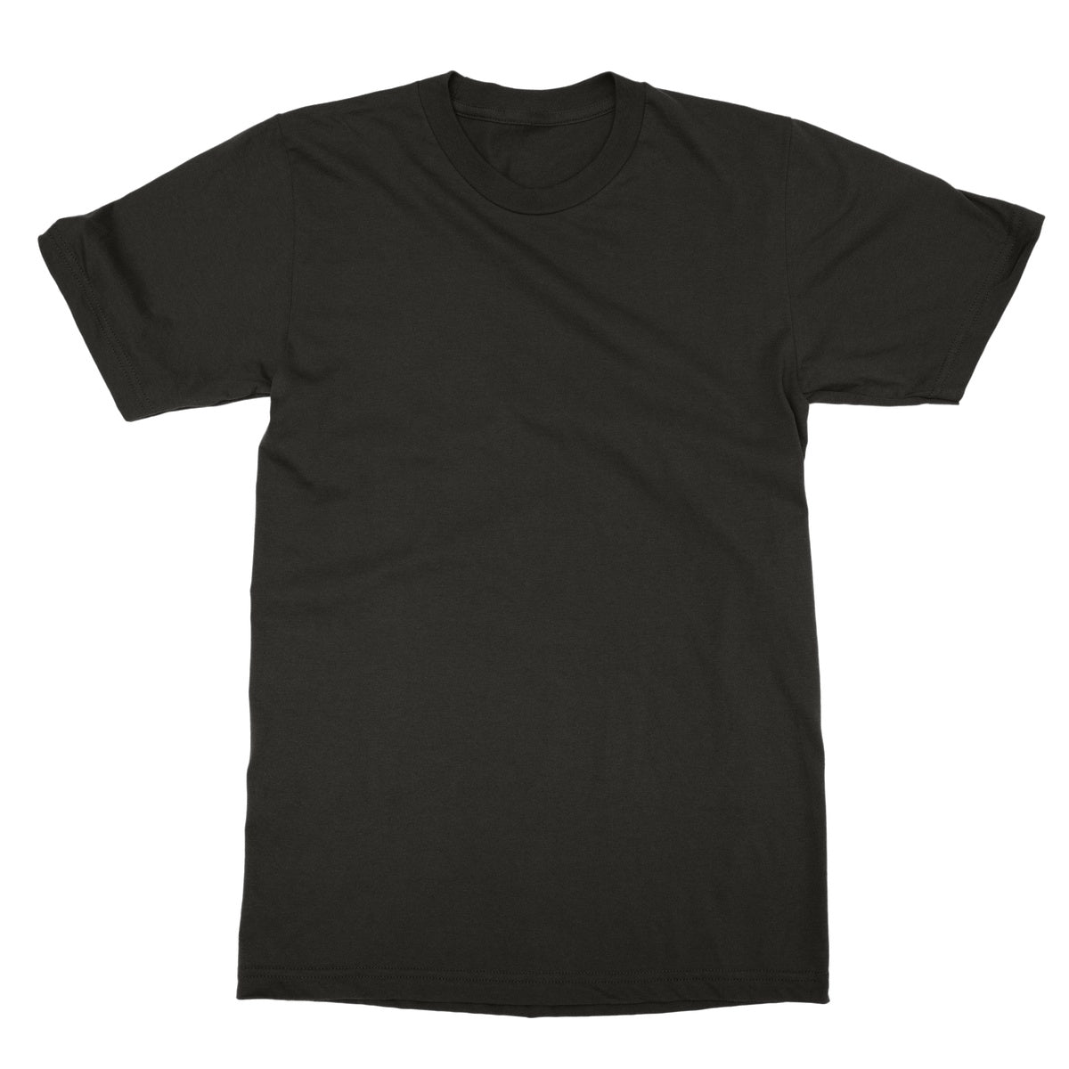 ਤੋੜਕਾ (Torka) Beanz [Design on Reverse] Softstyle T-Shirt - ramblingsofasikh