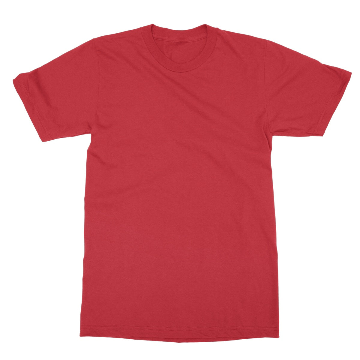 ਤੋੜਕਾ (Torka) Beanz [Design on Reverse] Softstyle T-Shirt - ramblingsofasikh